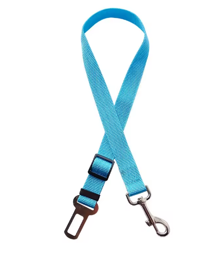 Ceinture de sécurité pour chien / chat