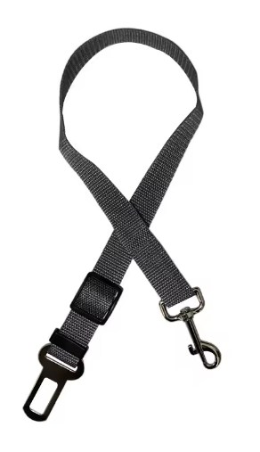 Ceinture de sécurité pour chien / chat
