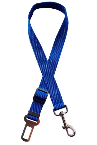 Ceinture de sécurité pour chien / chat