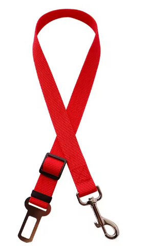 Ceinture de sécurité pour chien / chat