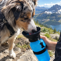 Gourde pour chien avec bol intégré
