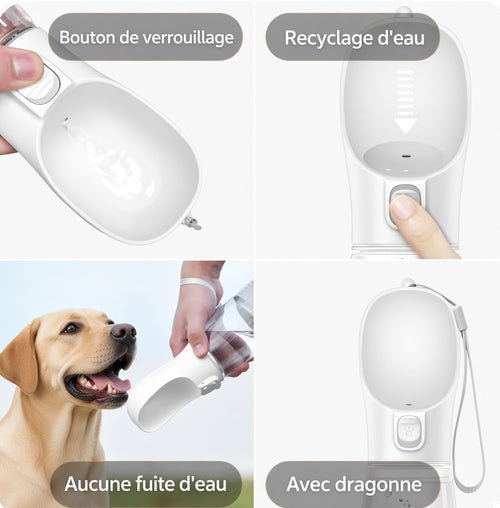 Gourde pour chien portable